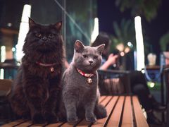 -星巴克(珠海仁恒滨海中心店)