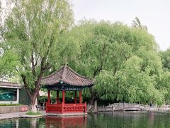-百脉泉景区