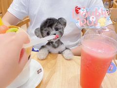 -Double Rui宠物酒店