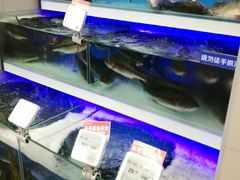 -盒马鲜生(大成店)