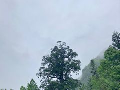 -神农架景区