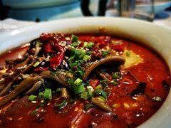 鳝鱼毛血旺-淮扬韵(凤八市政府店)