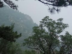 -北京鹫峰国家森林公园