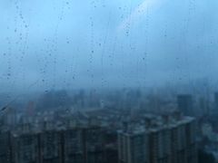 -上海龙之梦万丽酒店