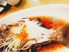 -刘胖子家常菜·蹄花焖藕(中南店)