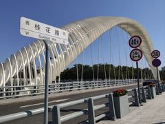-福田红树林生态公园