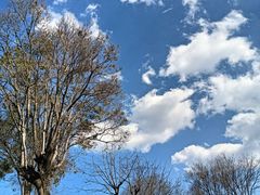 -大理文庙(大理古城)