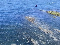 -大连金石滩滨海国家地质公园