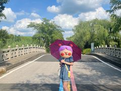 -同里国家湿地公园