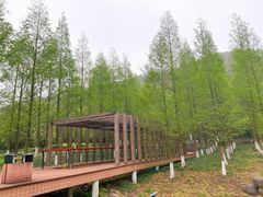 -东钱湖旅游度假区