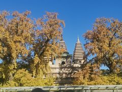 -北京石刻艺术博物馆(五塔寺)
