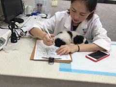-心语宠物医院·急重症转诊中心·瑞辰华诺(南青路店)
