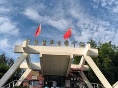 -古车博物馆
