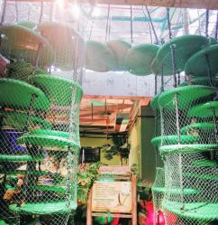 -恐龙探索乐园(磁器口店)