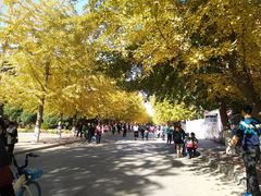 -辽宁大学(崇山校区)
