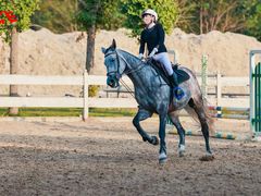 -北京群众马术培训基地