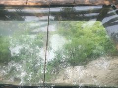 -十渡高山漂流