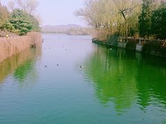 -颐和园