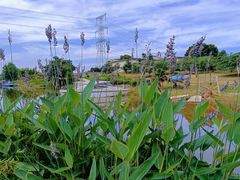 -紫颐香薰山谷景区