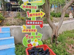 -桃源山庄·水蜜桃采摘·柴火鸡·烧烤团建(龙泉山店)
