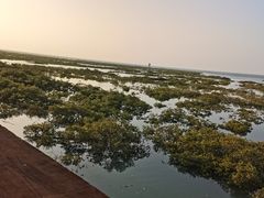 -北海金海湾红树林生态旅游区