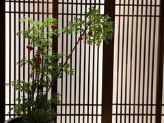 -康逸居·始于2002(海安店)