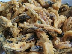 -鲤鱼塘农家山庄