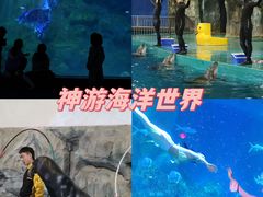 -《神游传奇》秀