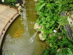 -祥源·阜阳生态乐园