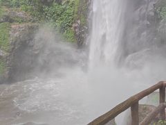 -莫里热带雨林景区