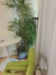 -小梨专业脱毛连锁机构