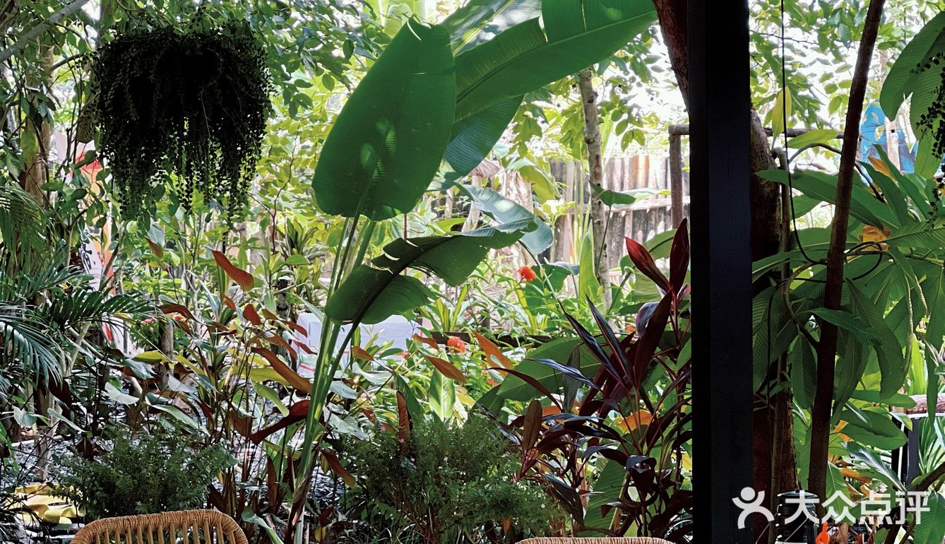 版纳周末遛娃约会的好去处 无意间发现的清迈风小院