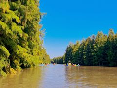 -上海海湾国家森林公园