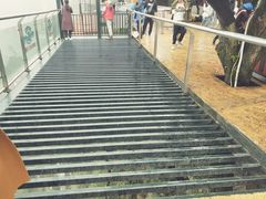 -梦幻奥陶纪景区