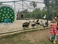 -宁波九龙湖开元度假村