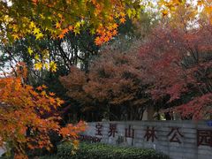 -宝界山林公园