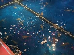 -钳真多钓虾馆·小龙虾海鲜烧烤(九六广场店)