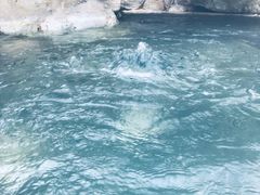 -仁爱团泊湖温泉中心