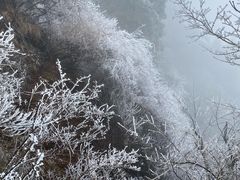 -秦岭天竺山生态文化旅游景区