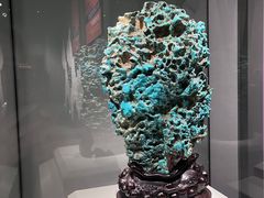 -重庆自然博物馆(新馆)