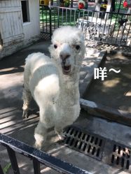 -蓝可可亲子乐园(北苑店)