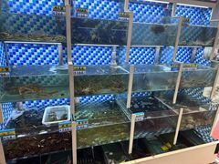 -蔚海之都·象山蒸汽海鲜(仙霞路店)