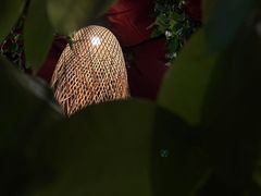 -泰融玺·泰式按摩SPA(包河万达店)