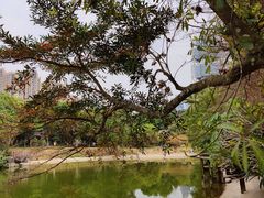 -深圳国际园林花卉博览园