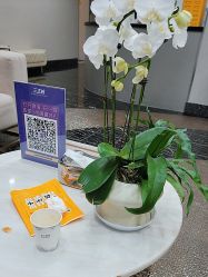 -上海首尔丽格医疗美容医院