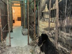 -北京动物园-畅观楼