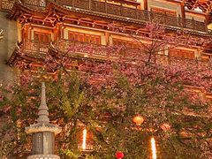 -大佛古寺