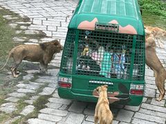 -深圳野生动物园