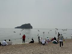 -棒棰岛宾馆景区