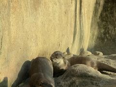 -上海动物园(地铁站)